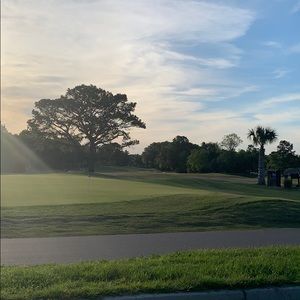 Meet your Posher, Doris